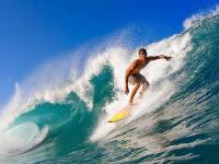 FB体育下载-开拓者新星闪耀，文班亚马生涯之夜震撼山西队