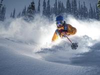 FB体育在线-布雷默独木擎天，塞内加尔团队火力压制牙买加