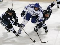 FB体育在线-奥纳纳冠军级表现闪耀欧洲，哥伦比亚锋线制霸奥地利赛场