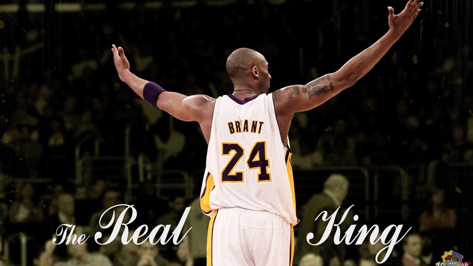 从南半球到法兰西，新西兰强势晋级背后的关键先生李刚仁